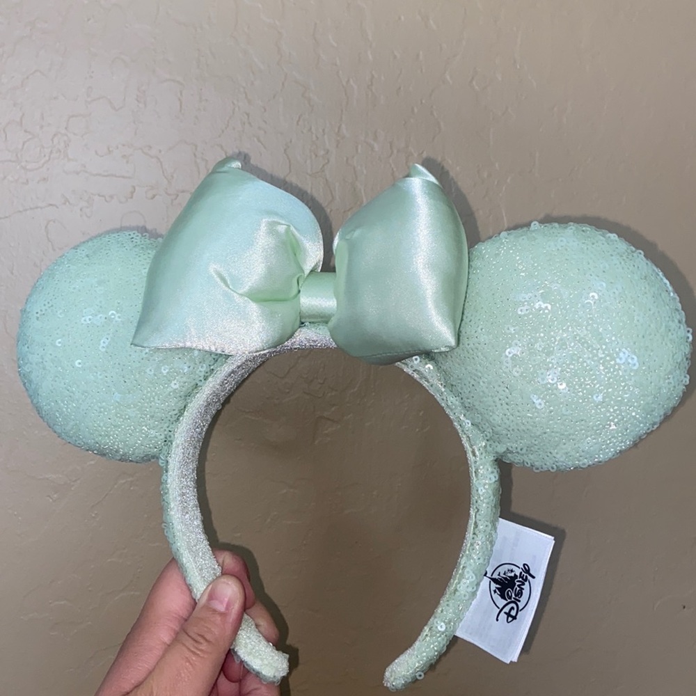 Disney Park Mint Ears